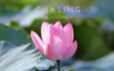 Chasing The Stillness